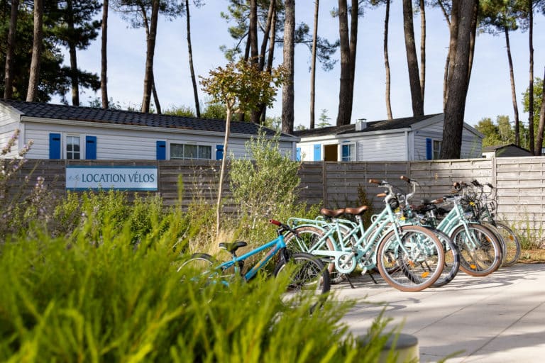 Location de vélos devant mobil-homes, camping en forêt.