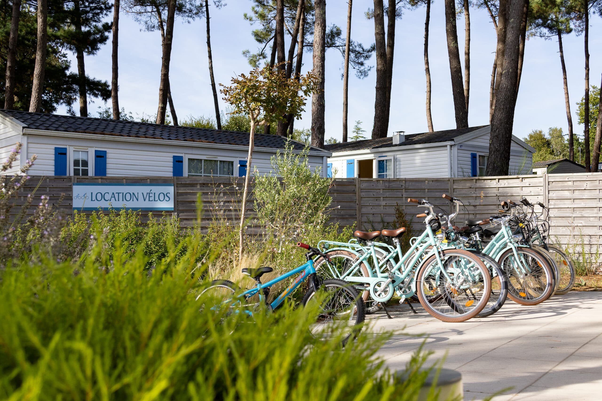 Vélo de location dans un camping Breton