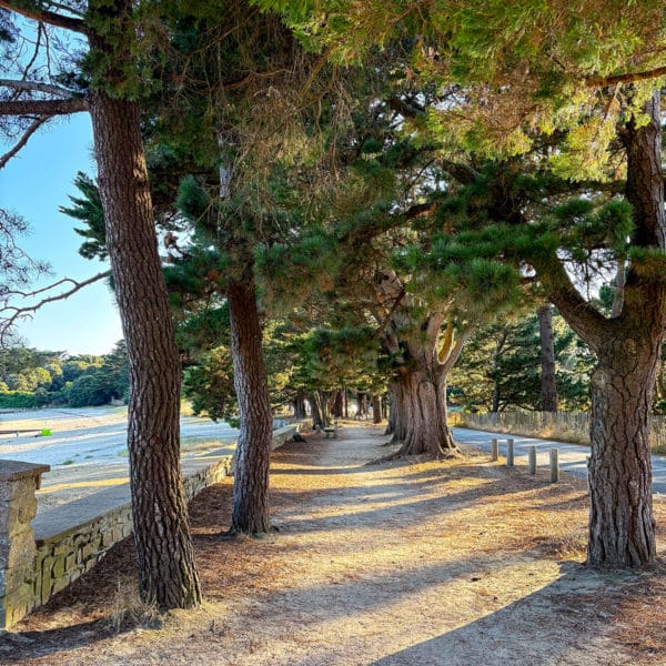 Chemin longeant une plage du Golf du Morbihan