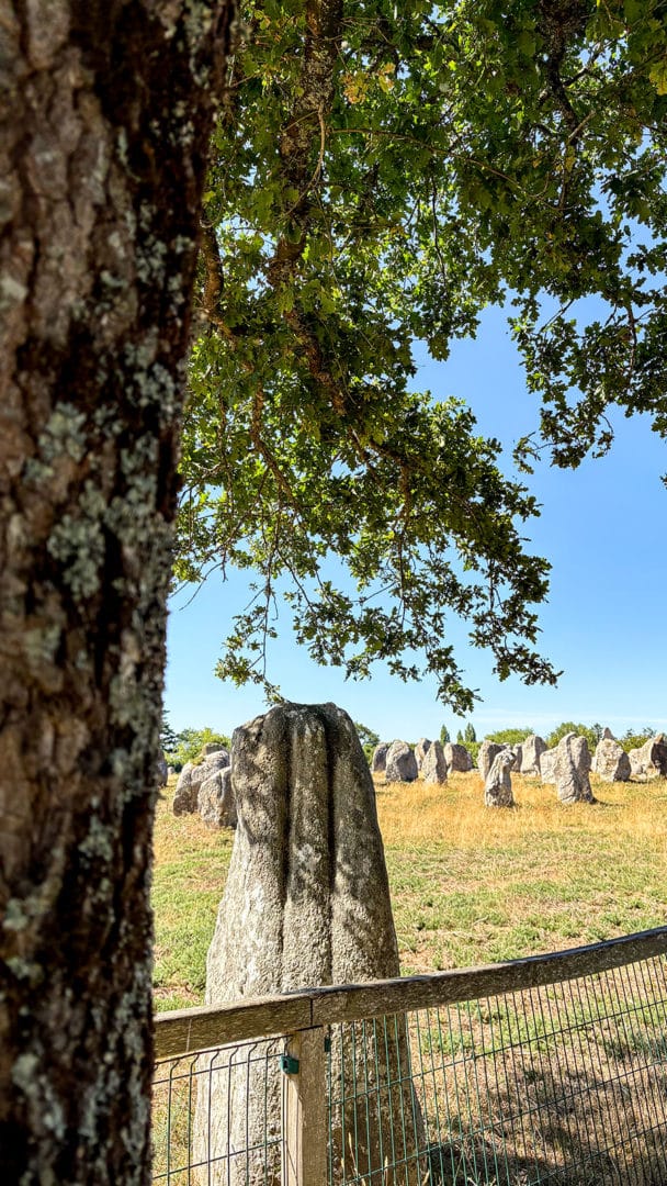 Alignement de menhirs en pleine nature.